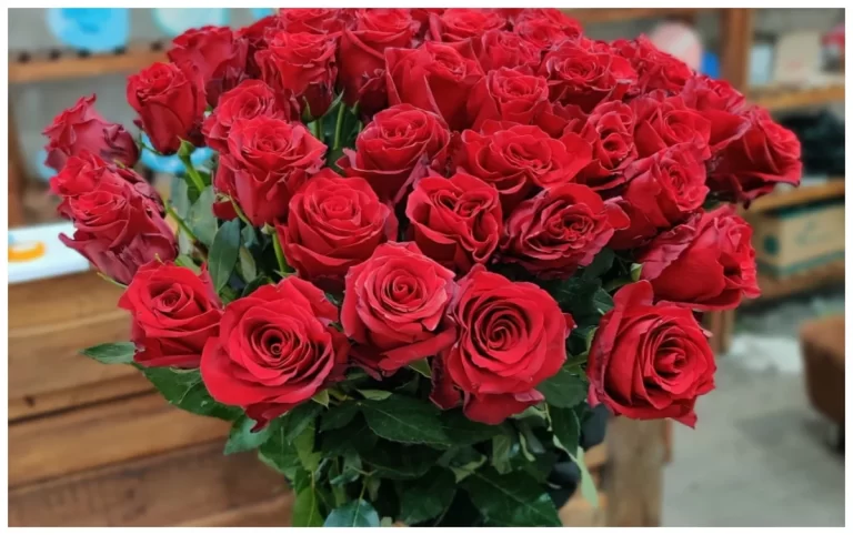 11uIJoW49SQjIHbxqVUVEZlrRxW30YiFsRoXuOVn_1200