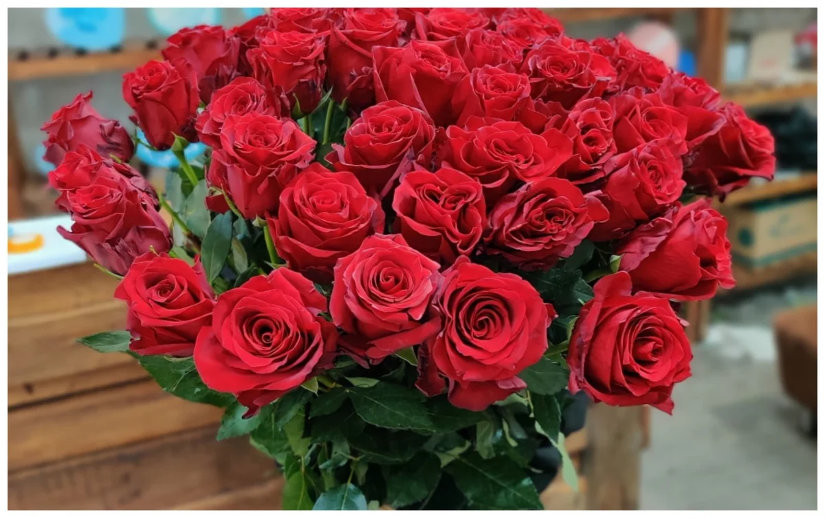 11uIJoW49SQjIHbxqVUVEZlrRxW30YiFsRoXuOVn_1200