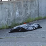 13lWTUgsTFWejtFWkbdkQYgVoXQ7BRpidFKqHRBQ_1200