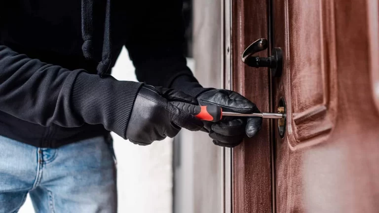 1e578282-6177-37ca-9cae-1b274668ee43_1200