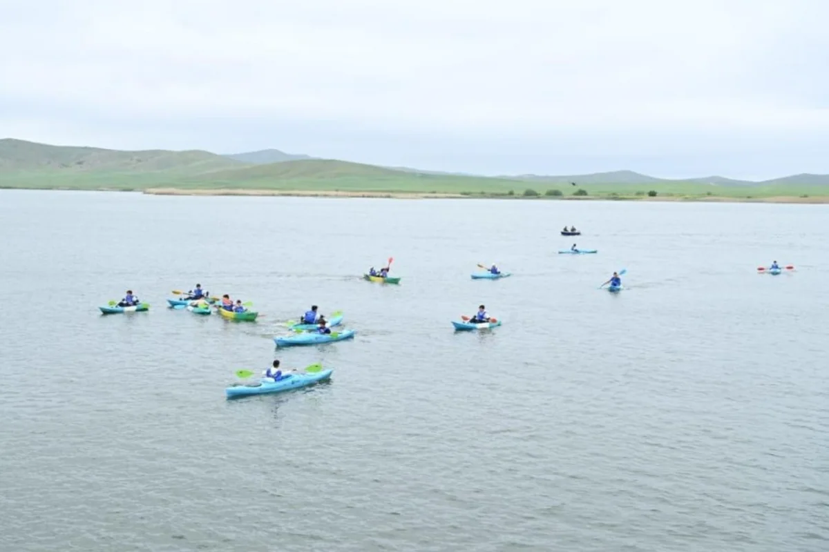 2d6pur0uOdp8XHocXVABvZ0YwosMlVBq5o6CuzZT_1200