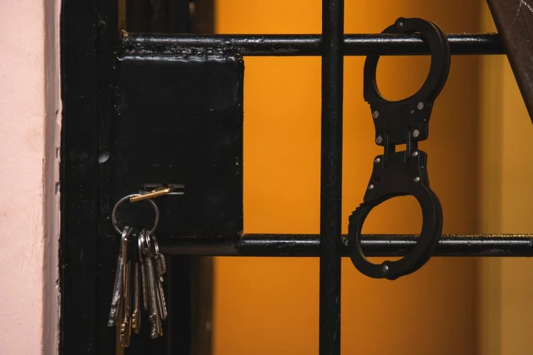 31435ff8-f521-3d97-8016-b3ae1785b210_1200