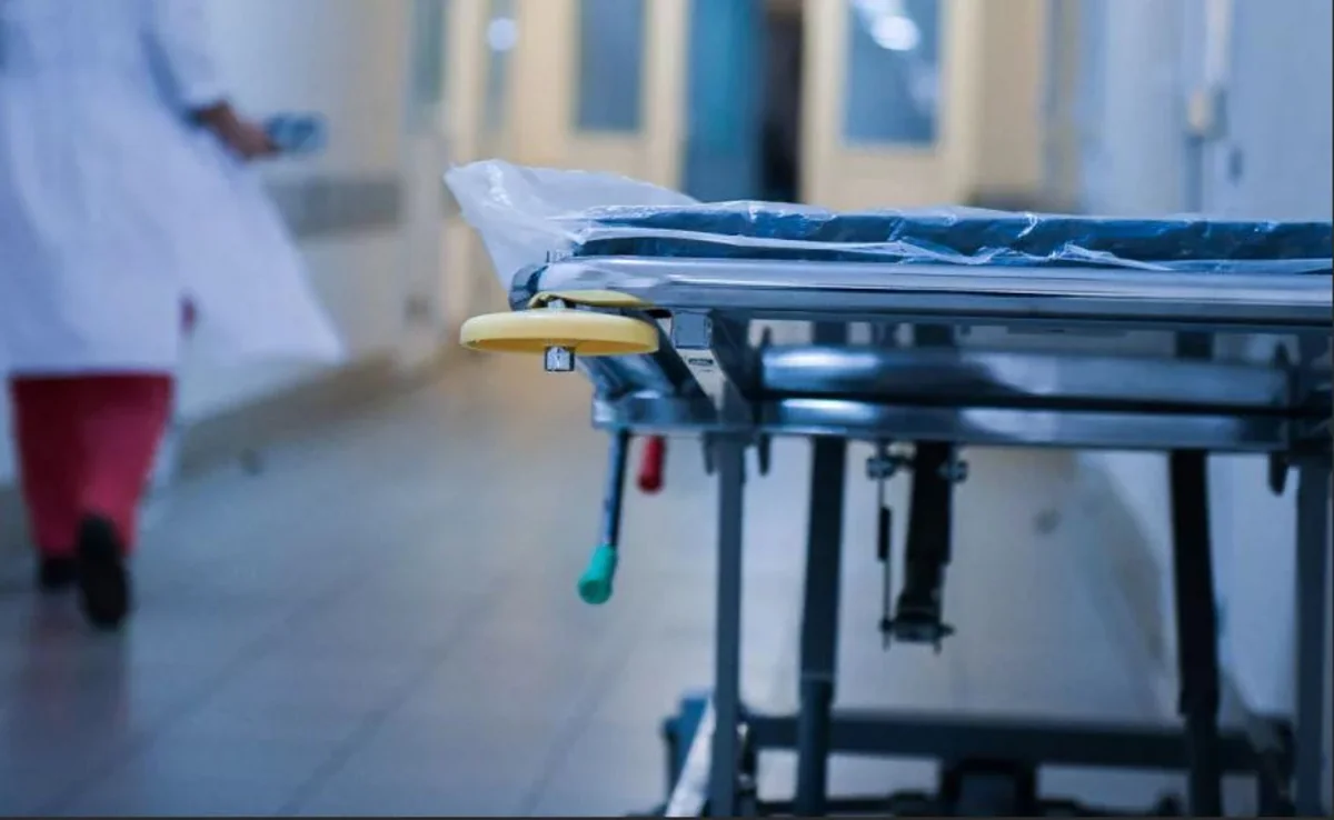 31d2ac7c-d437-333e-ad37-2683839ba7ef_1200