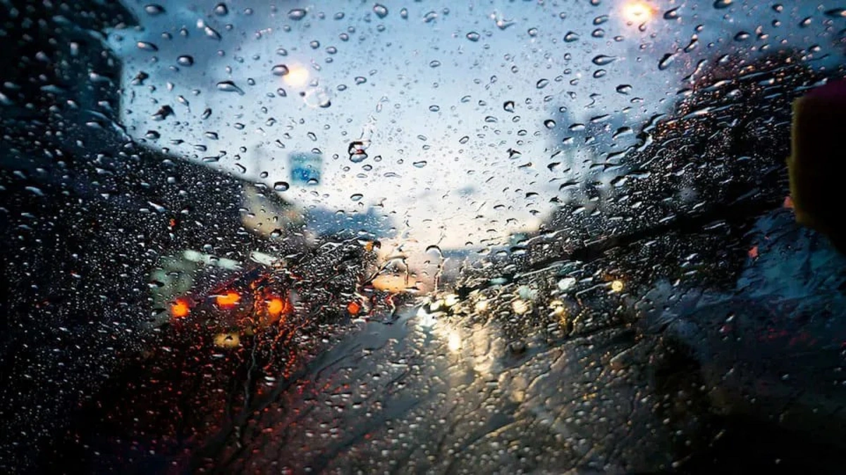 3d3b7eb2-2c5a-3854-ab51-cac647f9fcbe_1200