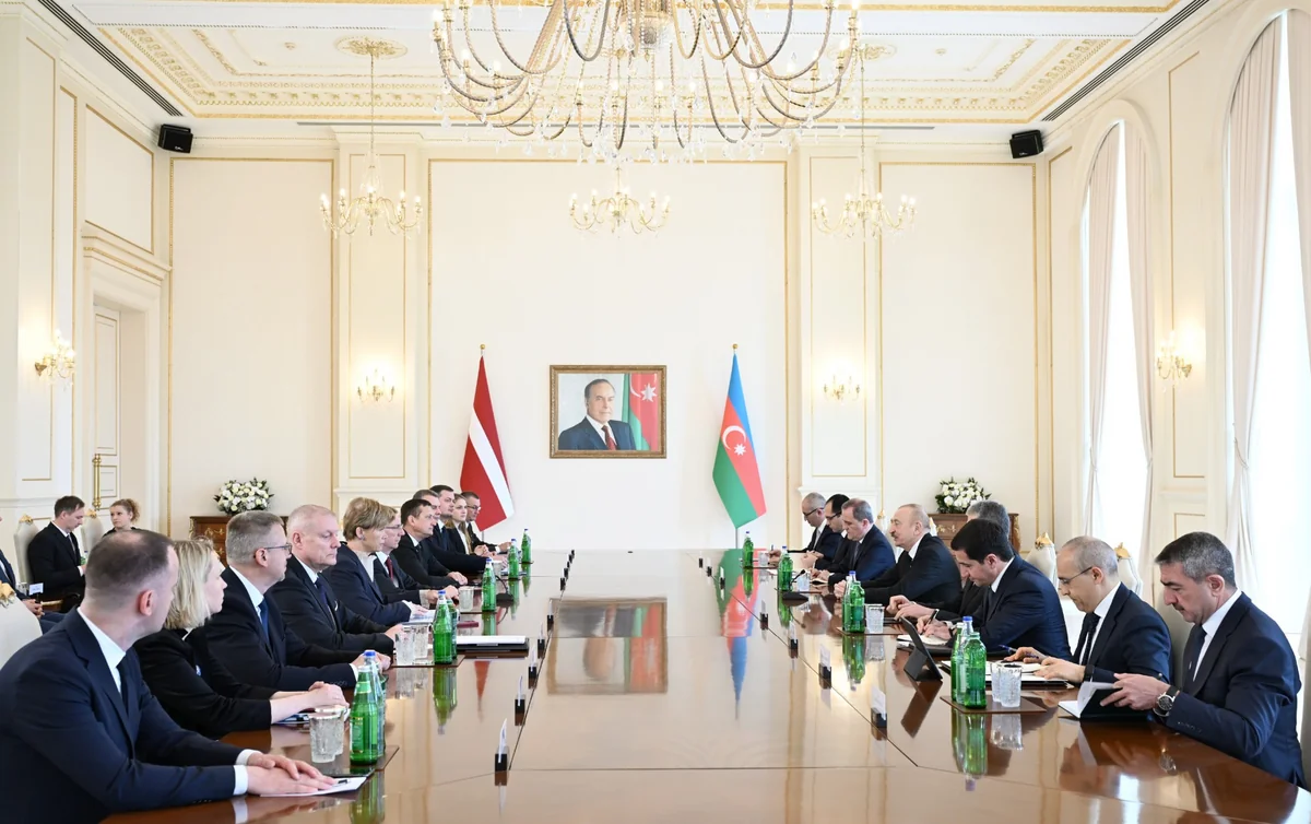 3r3354bqMCBM47xZELHTN3dOablLHMGu7nx43mwU_1200