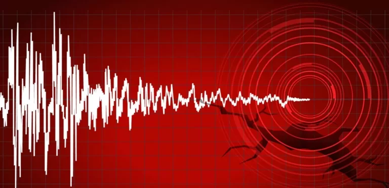 47cad5f7-fa49-3acb-afd1-e16c50c6cf85_1200