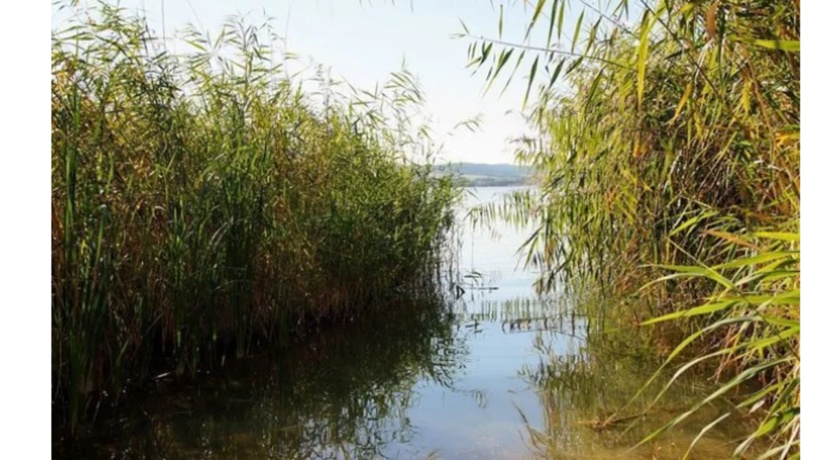 4USSkjbTvu113xfZWHenyWkR0OX3RO22MalZD8pF_1200