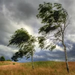 4a7a22d6-1536-4f55-8fda-219f6f26a91e_1200