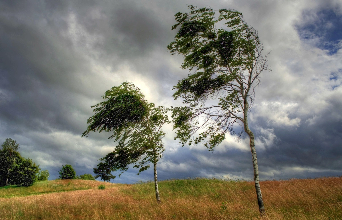 4a7a22d6-1536-4f55-8fda-219f6f26a91e_1200