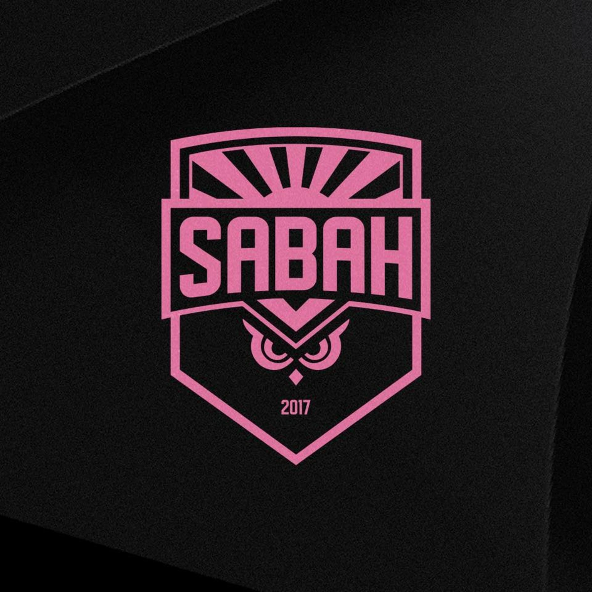 5f8ca67d-489b-36c1-8742-72359fa813b3_1200