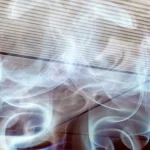 6101c26b-be45-3134-9d12-a721bd7bb20f_1200