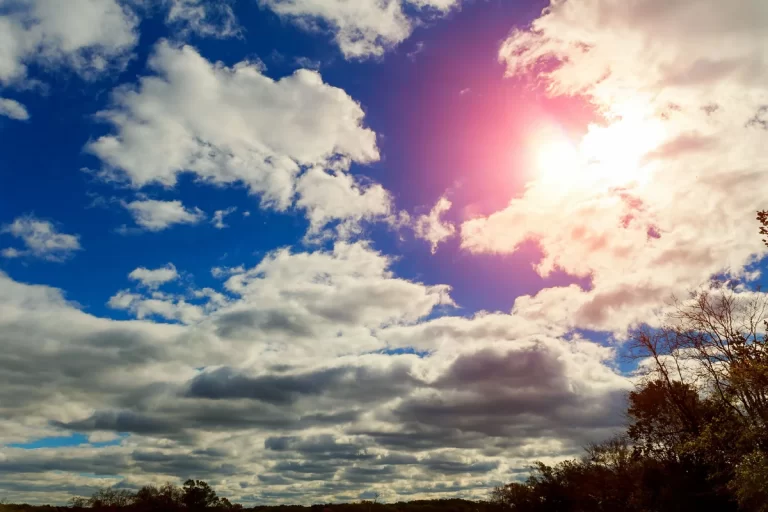 7DVD5sxozCd1VN3K8AZZqxwT113a0i5xP0nGP0WX_1200