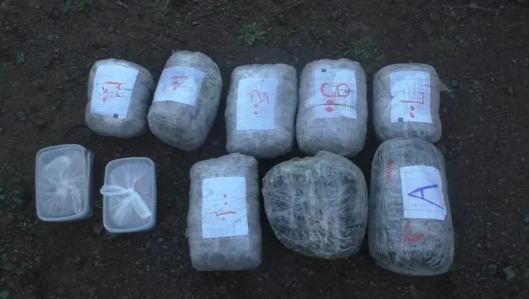 7d042bc8-f1c4-3e6f-b168-38315e45a16f_1200