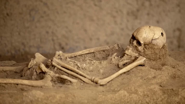 7db576a1-dd83-3a8e-ba64-2802a26b4b9a_1200