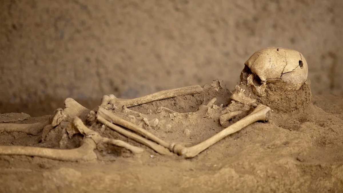 7db576a1-dd83-3a8e-ba64-2802a26b4b9a_1200