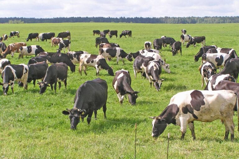 82d3819f-618d-46c7-89d0-87d9e5619d4c