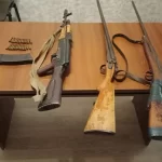 857415ad-a1ef-34b4-a858-8ee34f31d4b0_1200 (1)