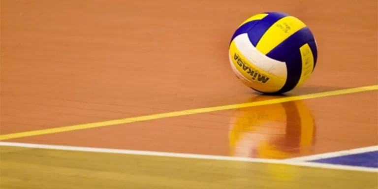 9e52d3c2-7ca0-403f-8f65-08873844dcea_1200