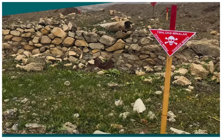 AI8JLnshuNxLTdC1vjp1V2j0Mc2hJqa5MFYJCkmt_1200