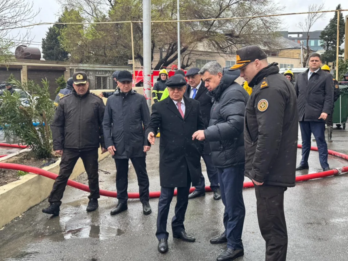 EecHwC5TjoUiC1LrMzFSOFhxQtqmNFD5lUmjARau_1200