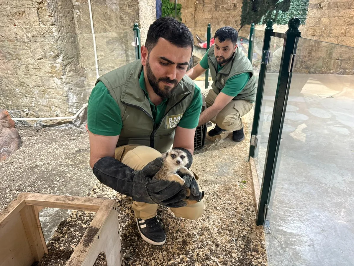 F3gdVhGTQ4VinqGP1HN8R6RN55b3Sb9m8OwlqKUm_1200 (1)