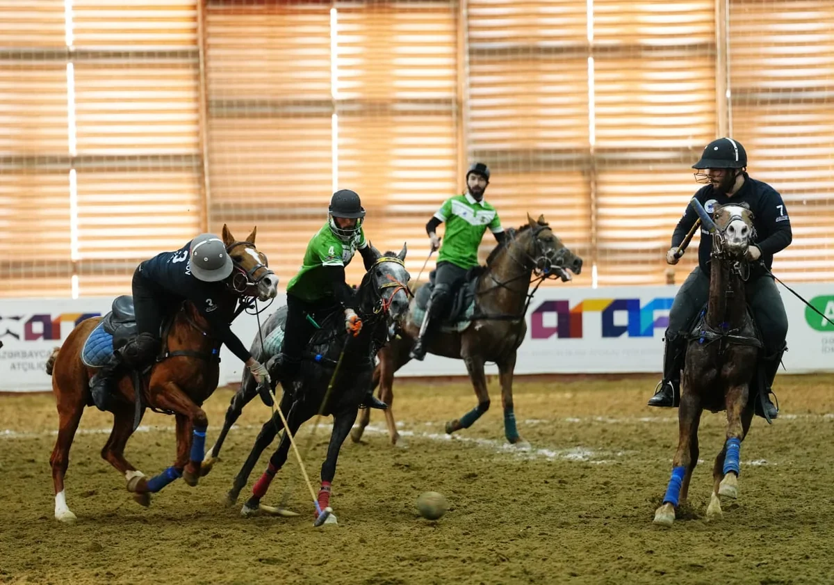 F9GODiOs3NJecpH6aTuYwUzsmwJRHdkh9SsHjOry_1200