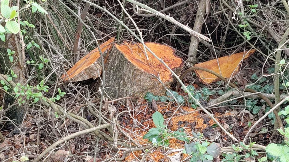 FAm6XGipJAJxfitj8NYokwZ7kQn3SZl018DrDC1F_1200