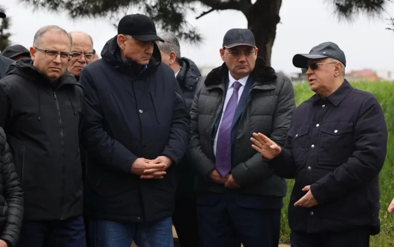 G05xXeh4yx8G1GGn46W9W1sSHVa8xPCKraT488ev_1200