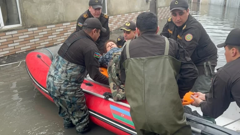 JYAjQP3eAP1pFKU3jqDrJPdiGb0vCHqPa5nROaFF_1200