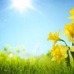 JiUSMxSGtYDhGkIsuwHGsKl8uQh3ceIldpxZCgeI_1200