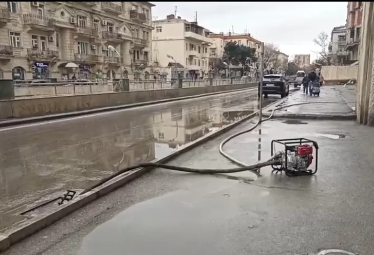 LMc2rv3nLwH7l70vZPo1dOK5nlhMFhbZcn39ibQh_1200