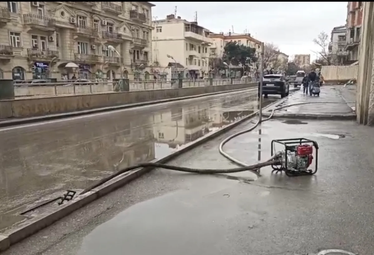 LMc2rv3nLwH7l70vZPo1dOK5nlhMFhbZcn39ibQh_1200