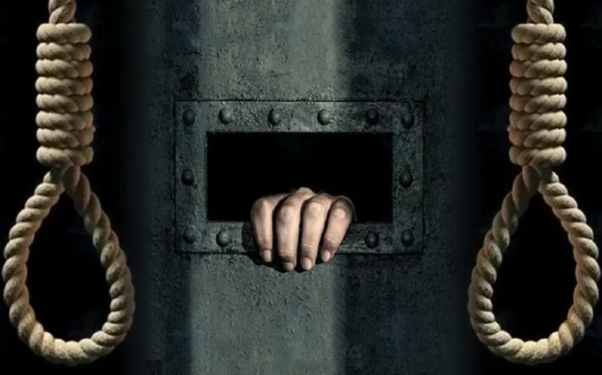 M2DAeXeVeCZWtBlMExmMhVu7P3ZTveN1mXOvnydd_1200