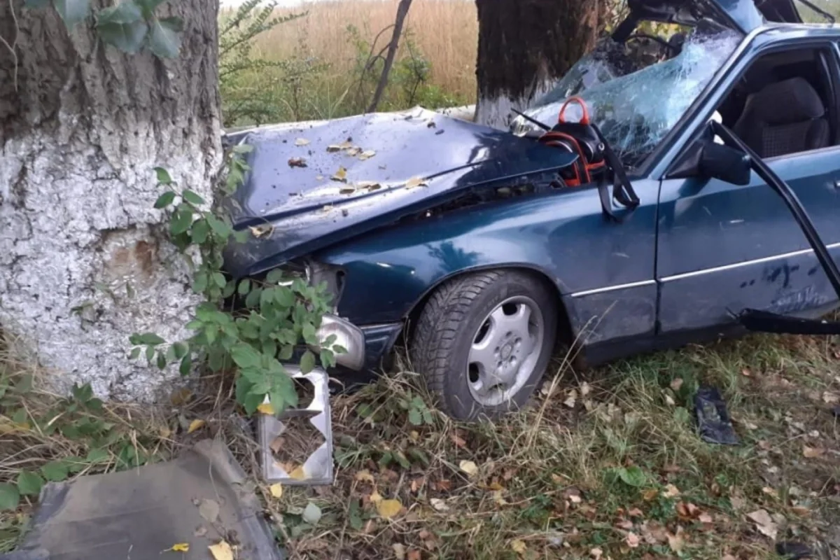 NaRk91WPSD7h1w6pDChmyadgH9eoZw5WXeQqQyhM_1200