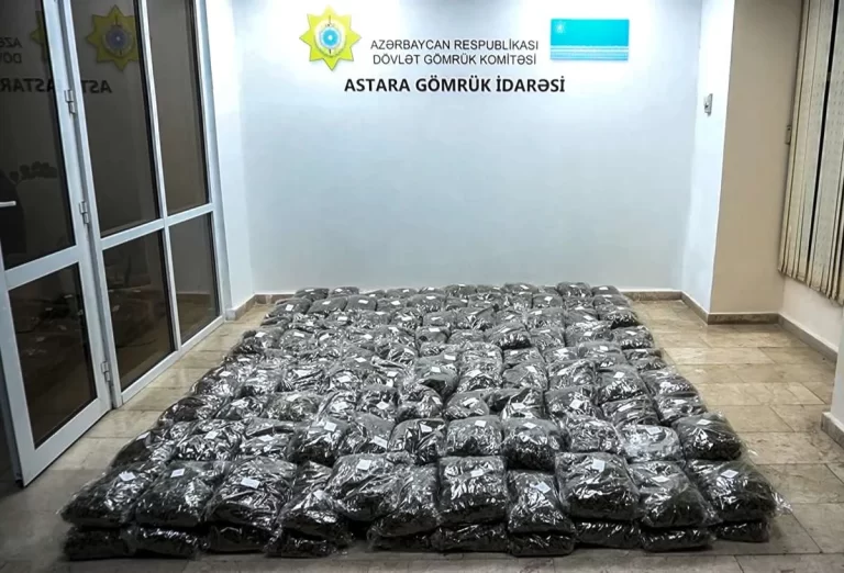 QkyJNBzV65DggUUDSnEkOWtC0WkVXpHDh3U7eXxn_1200