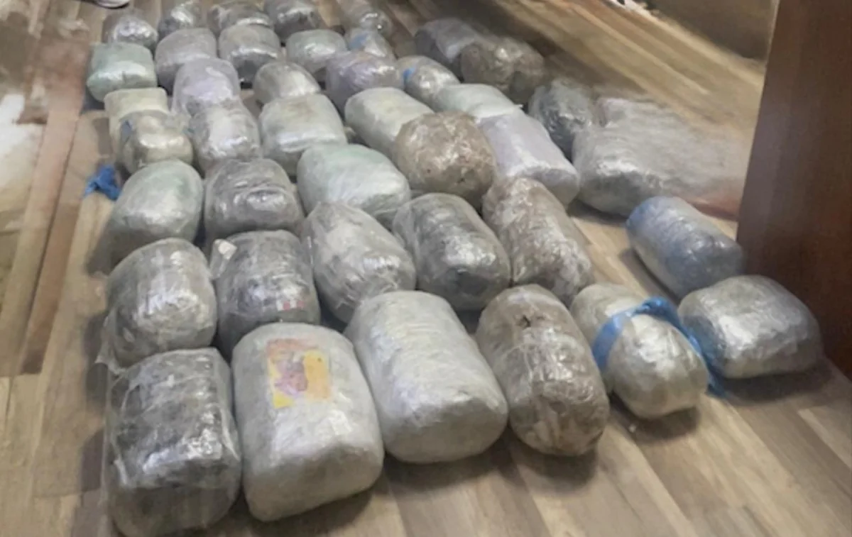 VZe6uddKp3XbEC1vUCDihiqTz93jhrEuvmwu6UVM_1200