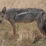 Wyh1PHbyDqvTmGmVHK1dtq4dyC5FGwABM1aVTwI7_1200