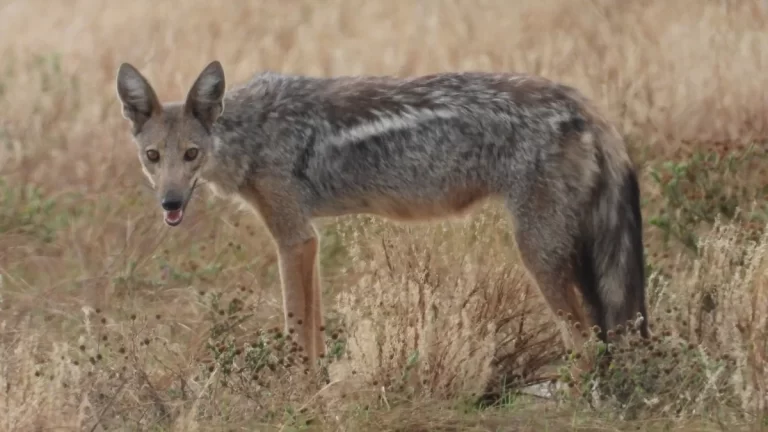 Wyh1PHbyDqvTmGmVHK1dtq4dyC5FGwABM1aVTwI7_1200