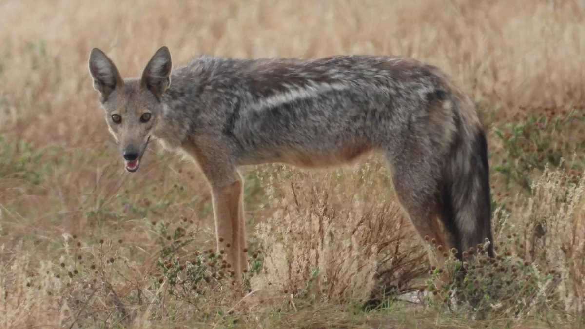 Wyh1PHbyDqvTmGmVHK1dtq4dyC5FGwABM1aVTwI7_1200