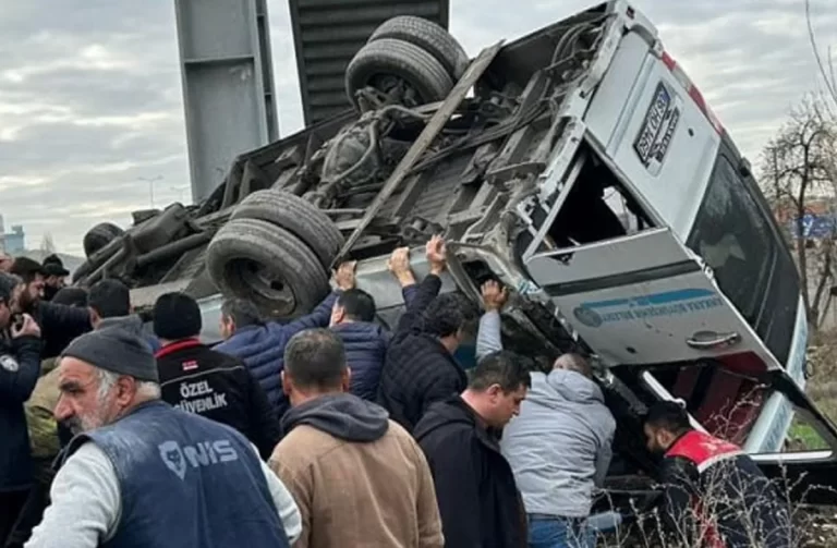 Xu0MGlAEAUEL12qHvLO3FXfN0JHTWsfTsJBV2dP2_1200