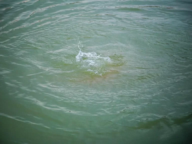 XyAYx6zQOaQMNB4YenpHq1hVU6yP4p4CNOGCWzMm_1200