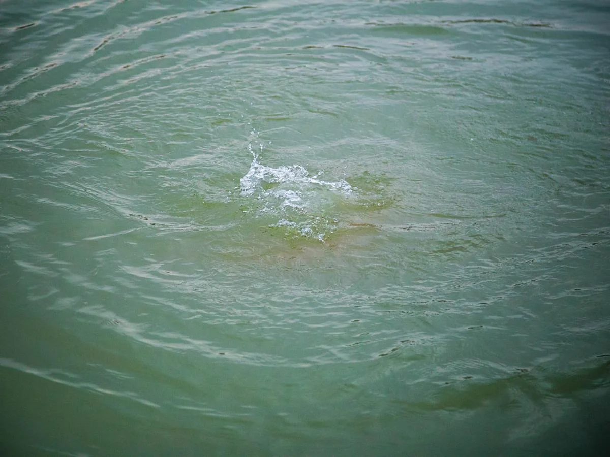 XyAYx6zQOaQMNB4YenpHq1hVU6yP4p4CNOGCWzMm_1200