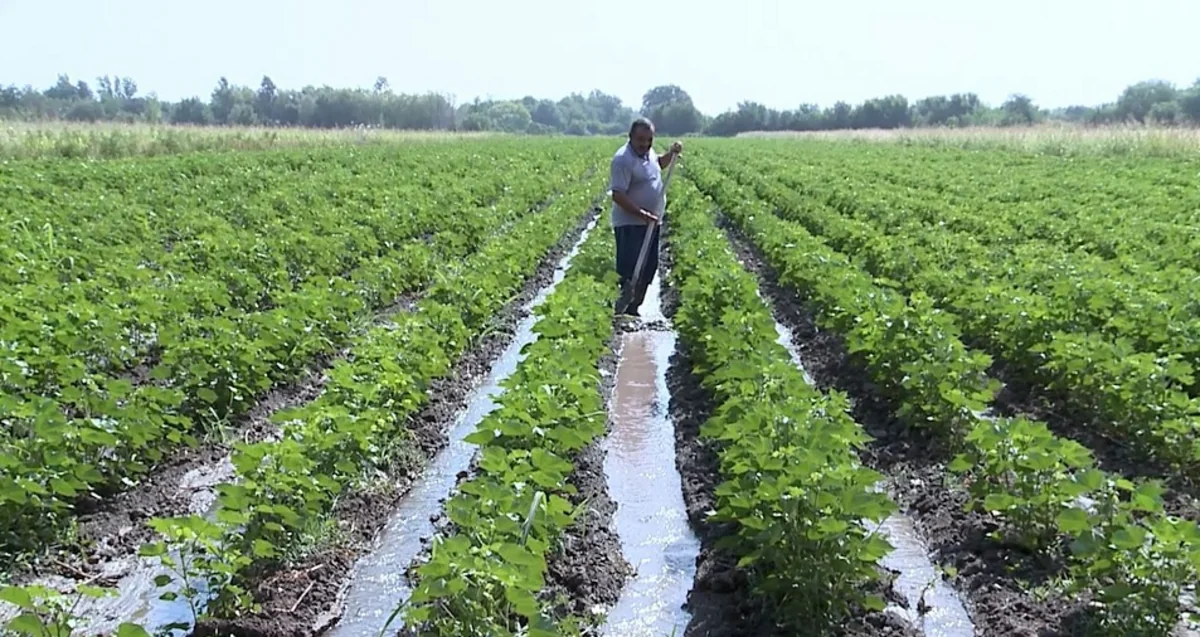 YtvbUXN9Z9HYss2dh2JWiVvGOw65jN2s7U7TOMzw_1200