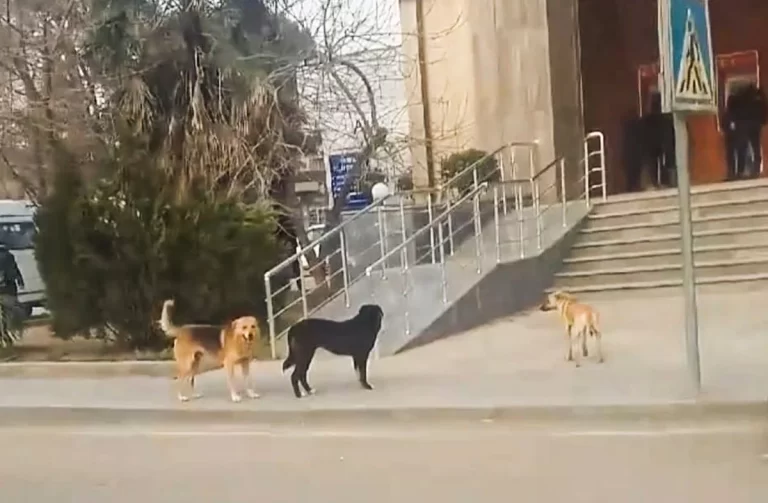 ZEAGqDDb8sDUN9QBbsB8XPGasZqRPZ1AQ2ap84dw_1200