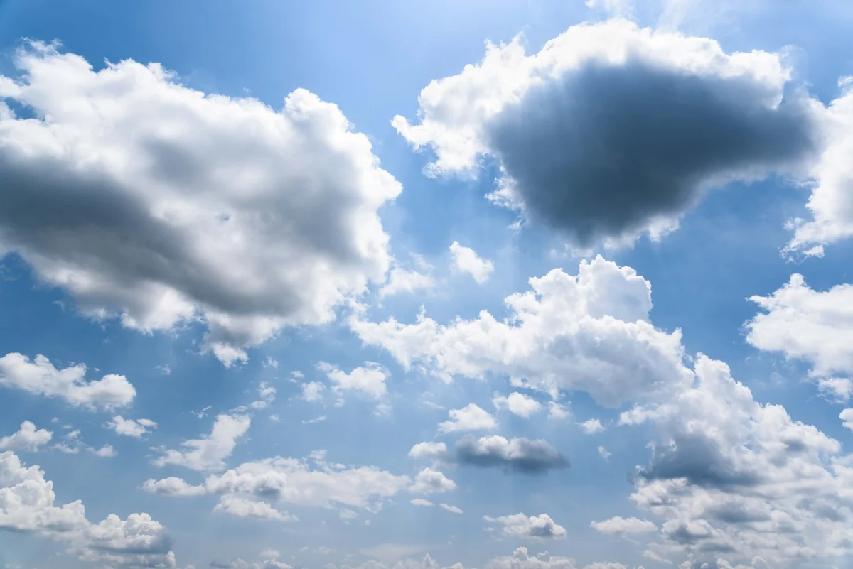 ZGAxJaKwvmmhASPLy1PqsXRtnuXiTbxZOY6JflcI_1200