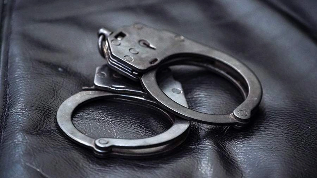 acd4041d-fce7-3614-a47e-76e676c878fb_1200 (1)