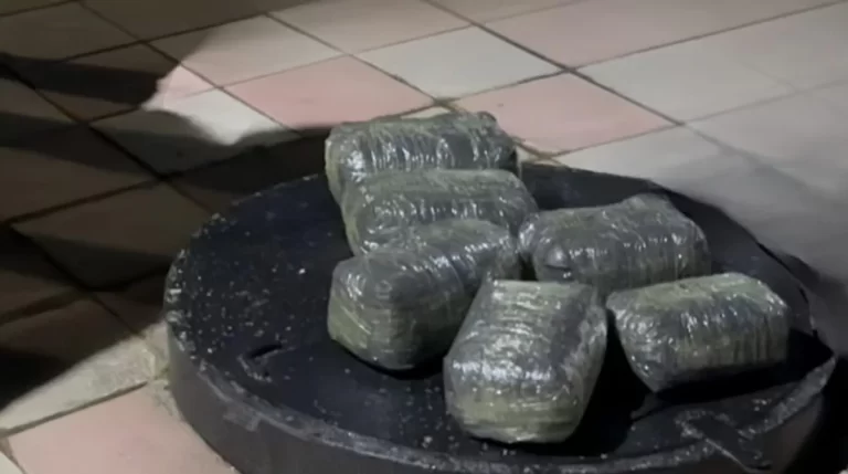 b51b2144-74eb-3fbe-8af5-c07ade5f8318_1200