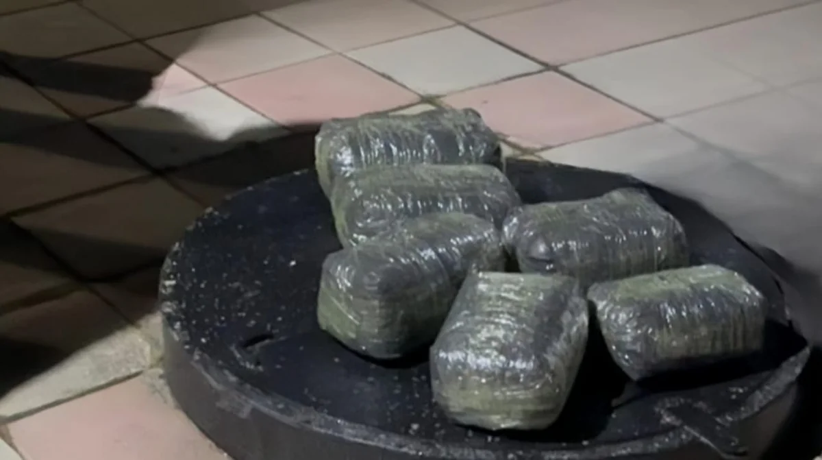 b51b2144-74eb-3fbe-8af5-c07ade5f8318_1200