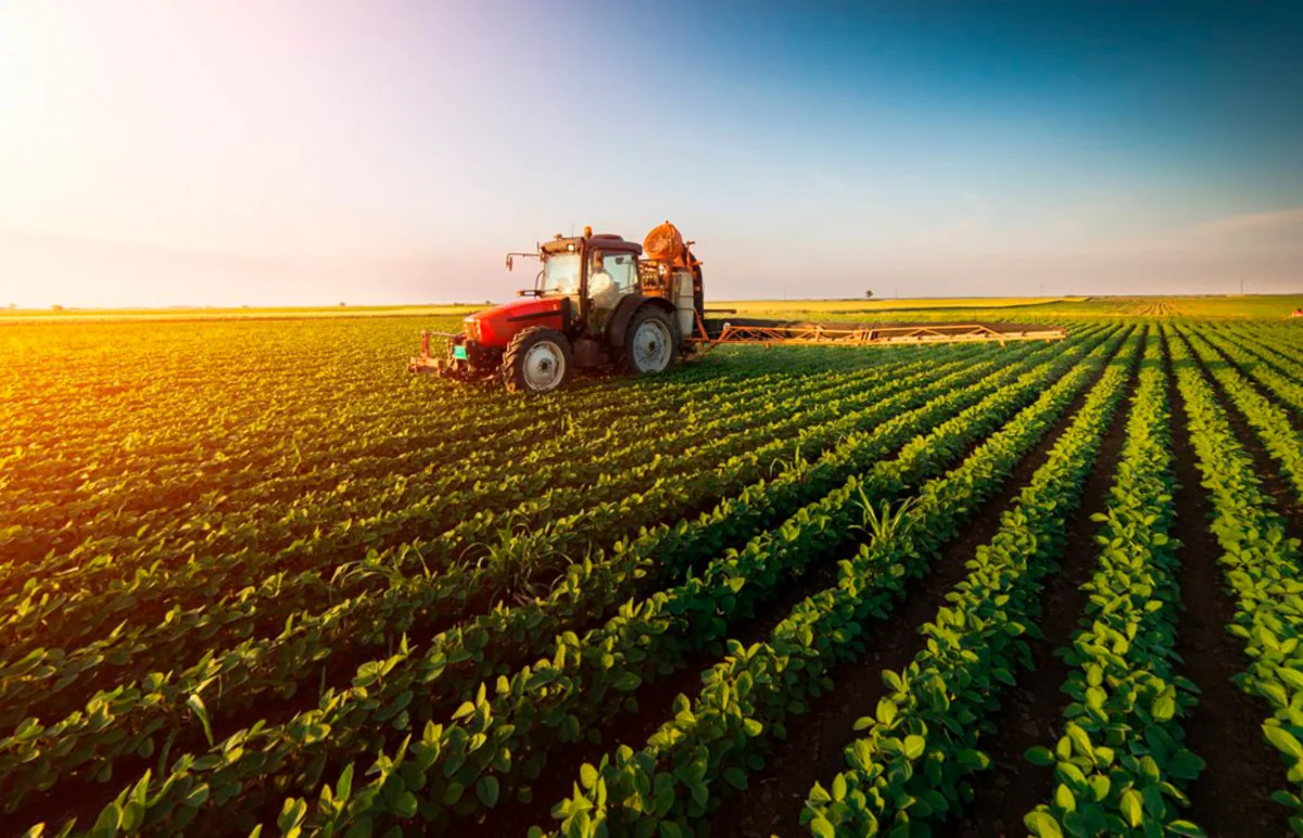 b810546f-ea9a-3c32-8f81-57e8fcc2785a_1200