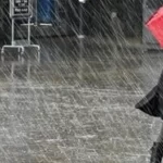 c549e4ae-5c40-4059-a310-98c04552ce70_1200